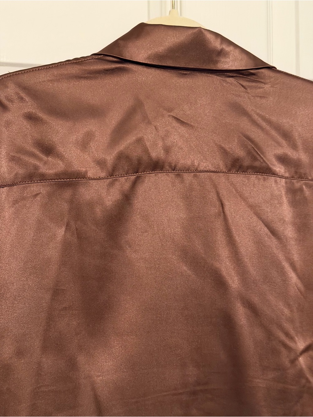 Women's Satin Button-Down Shirt in Brown - Picture 4 of 6